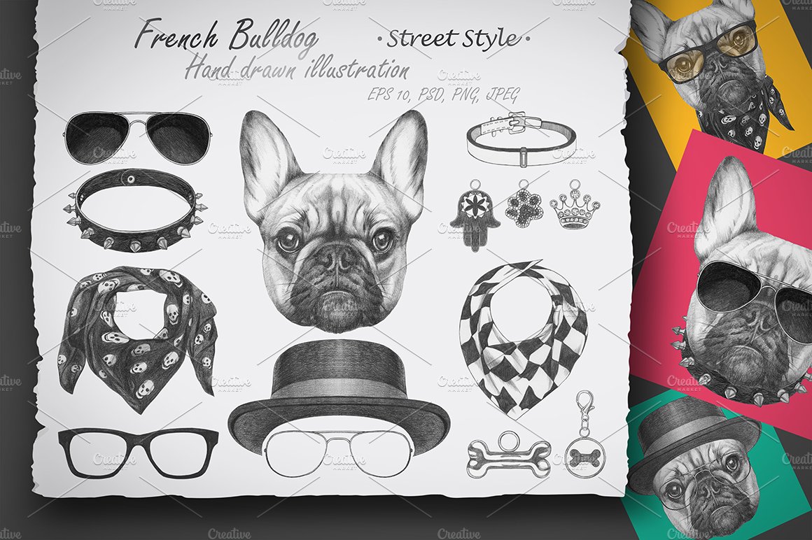 French Bulldog / Street Style cover image.