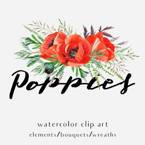 Poppies. Watercolor clip art. cover image.