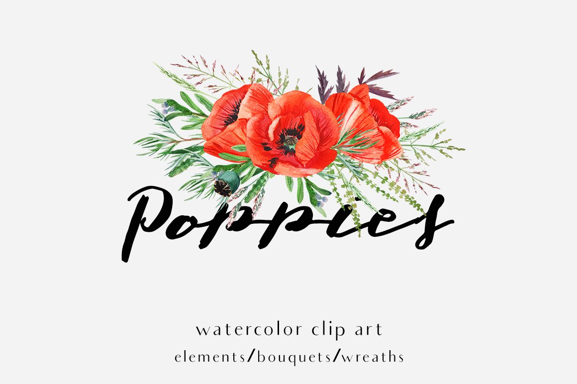 Poppies. Watercolor clip art. cover image.