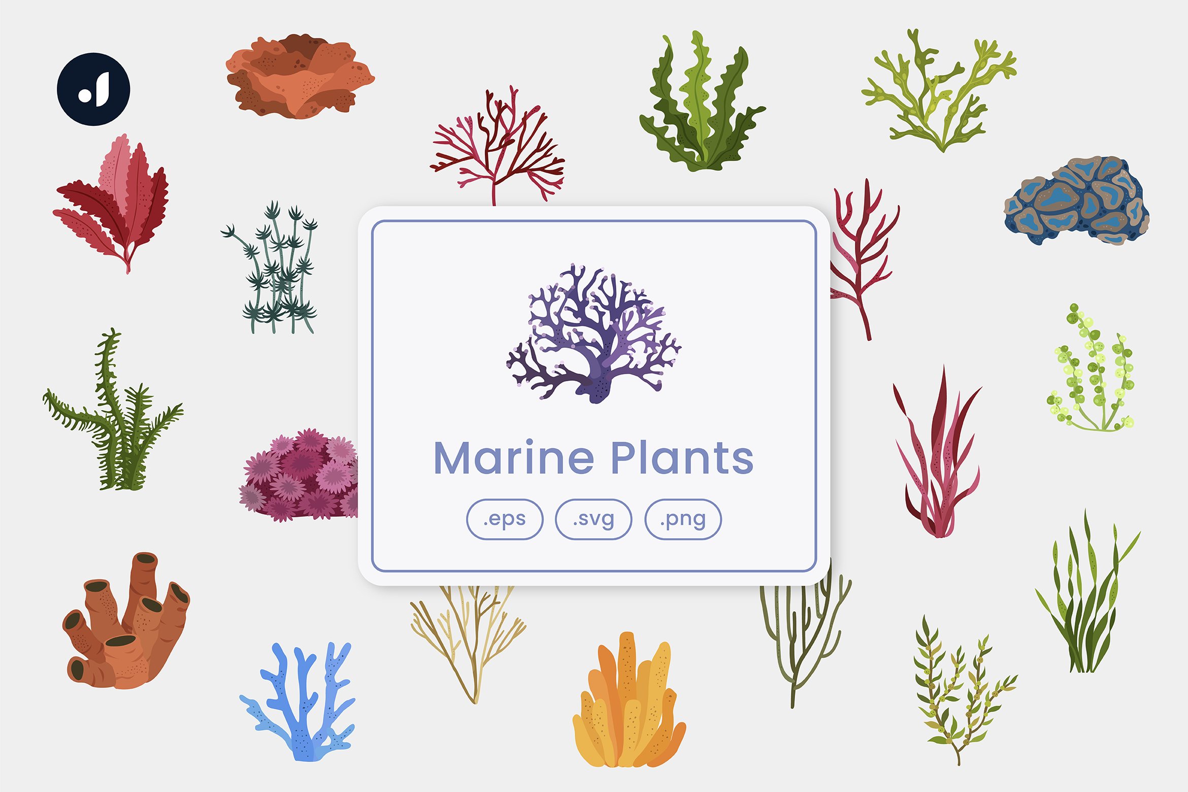 Marine Plants Illustration cover image.