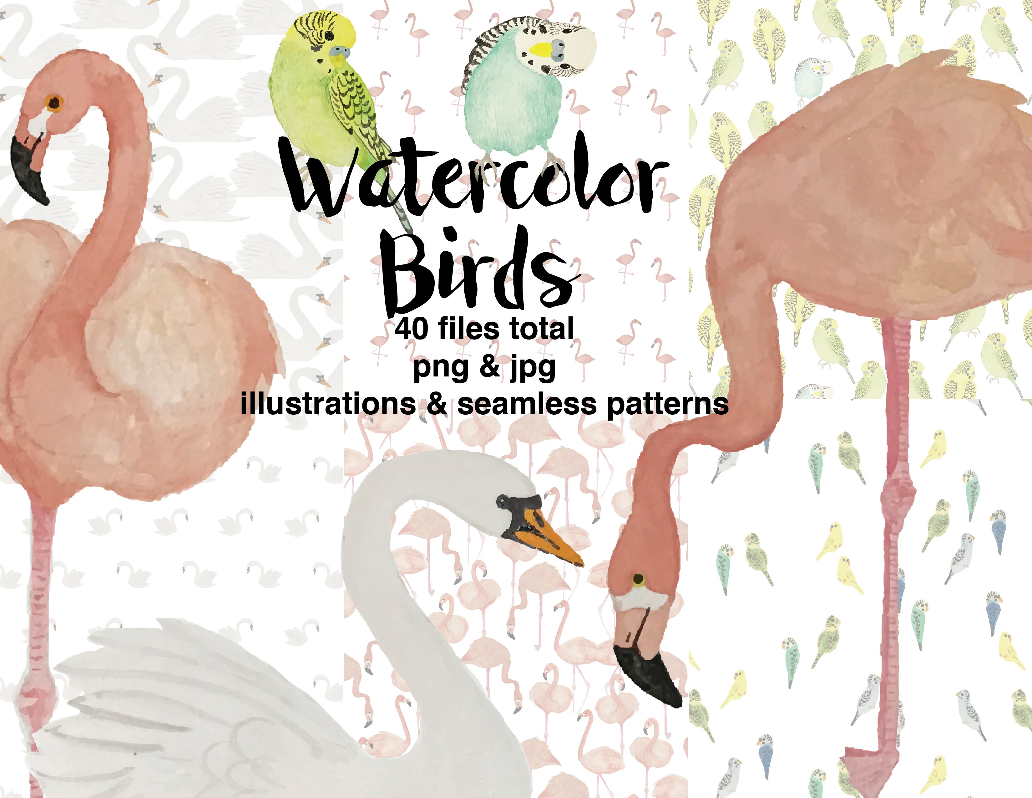 Watercolor Birds cover image.