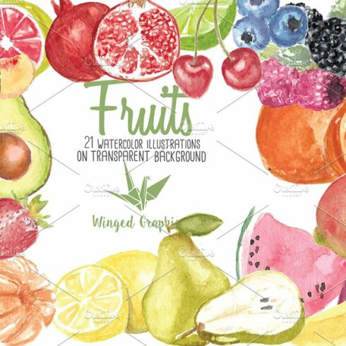 watercolor fruit illustrations cover image.