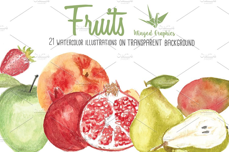 watercolor fruit illustrations preview image.