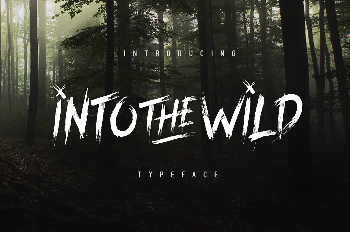 Into The Wild Typeface cover image.