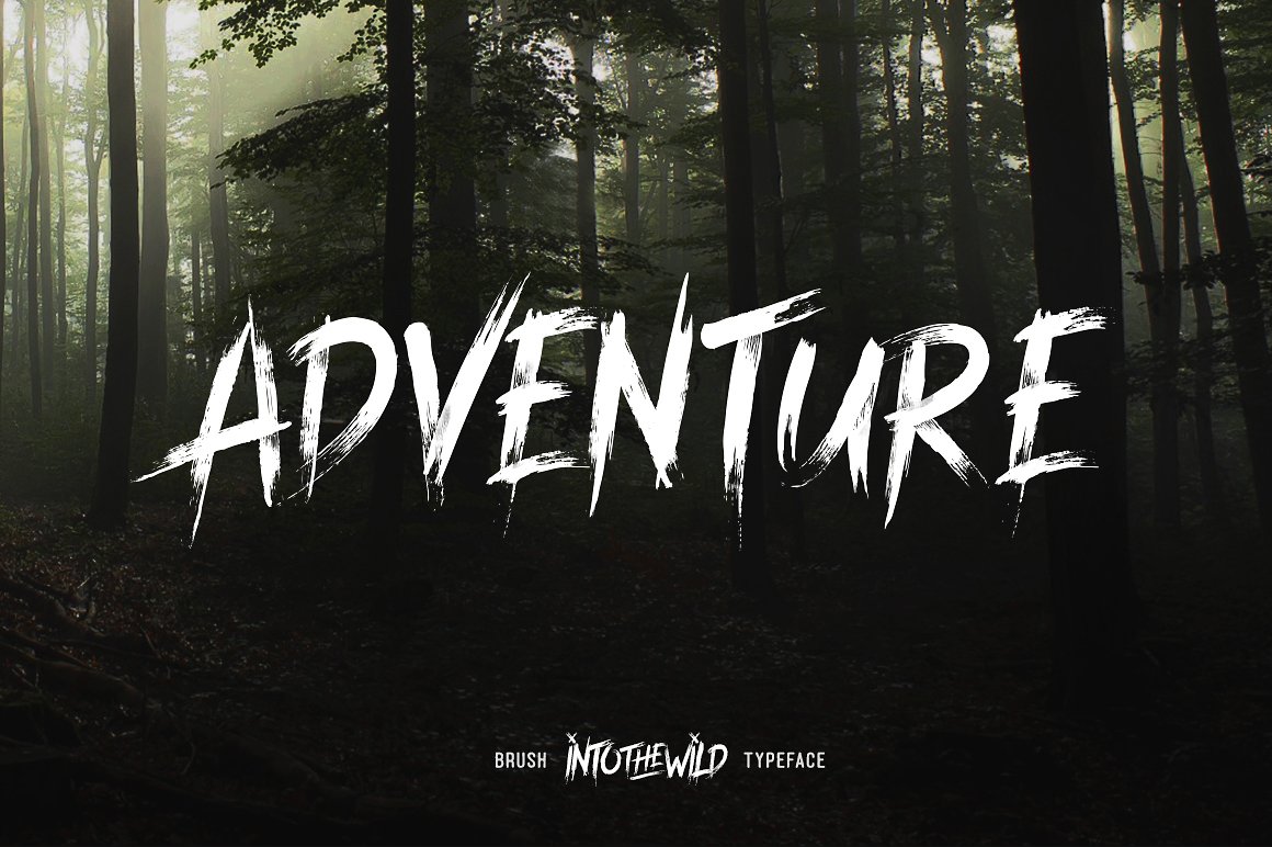 Into The Wild Typeface preview image.