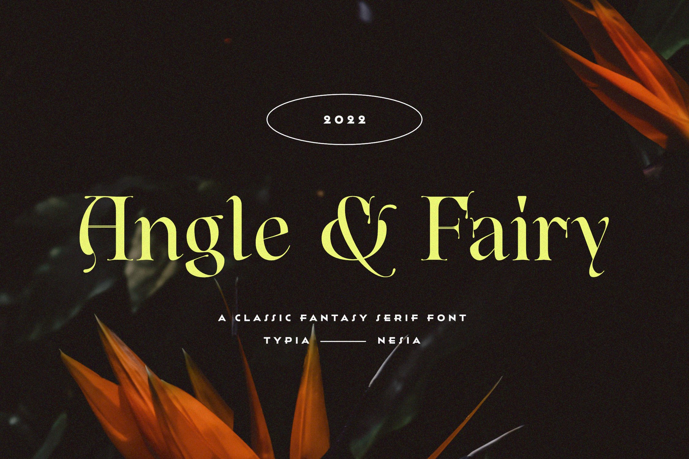 Angle & Fairy Serif cover image.