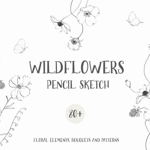 Wildflowers pencil line art sketch cover image.