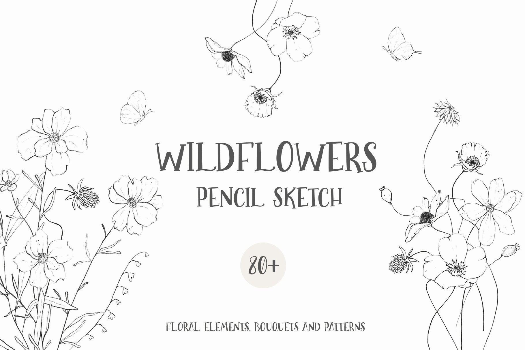 Wildflowers pencil line art sketch cover image.