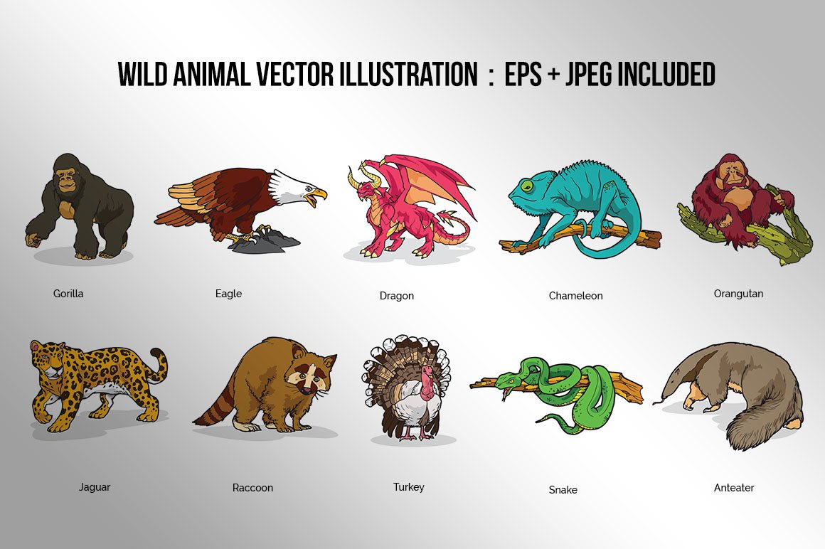 Wild Animal Vector Illustration preview image.