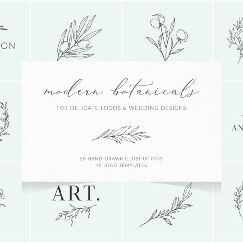 Botanical logos & illustrations cover image.