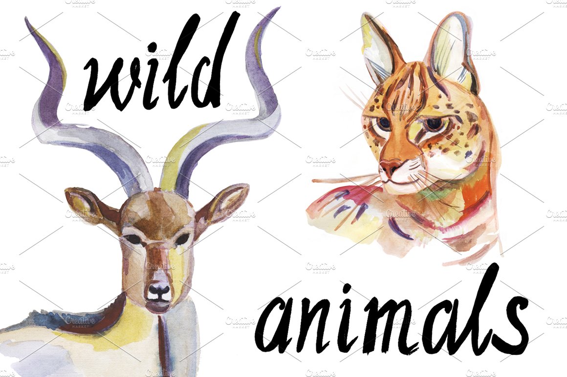 Watercolor wild animals set. preview image.
