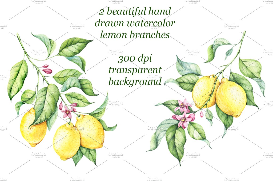 Watercolor Lemons Set preview image.