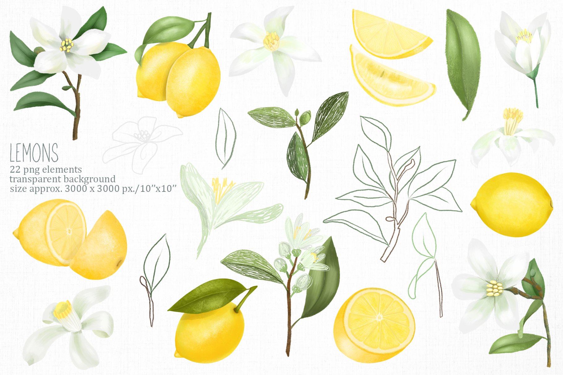 Lemons & limes collection preview image.
