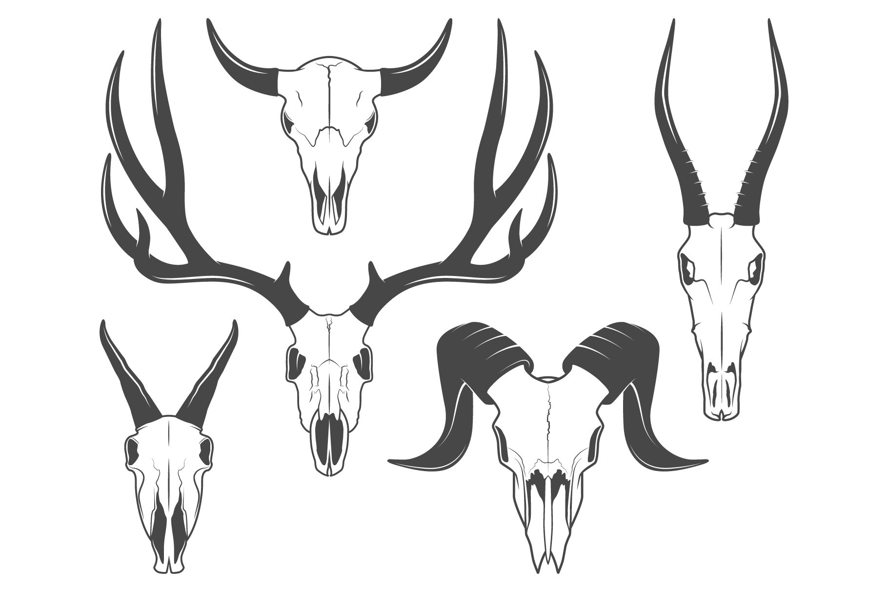 Set of vector icons of animal skulls preview image.
