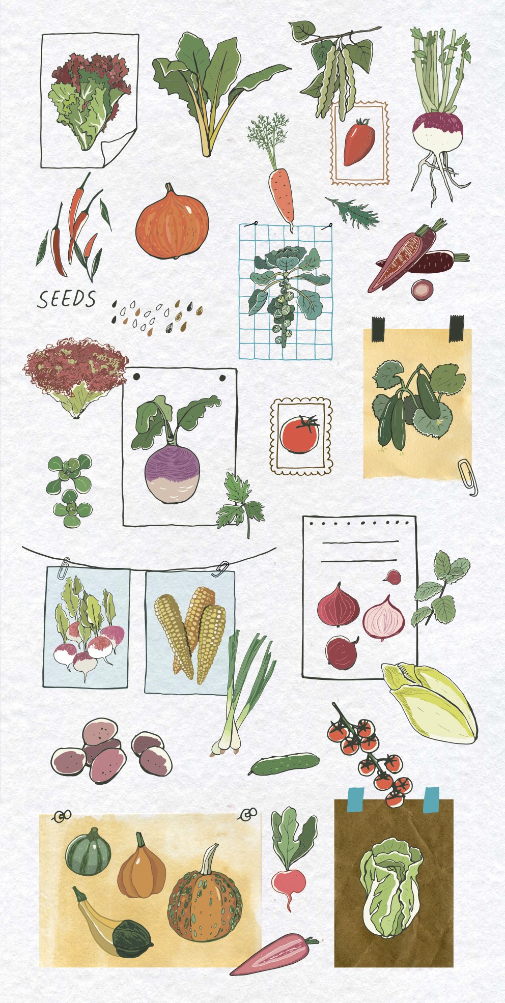 100 Color Vegetables preview image.