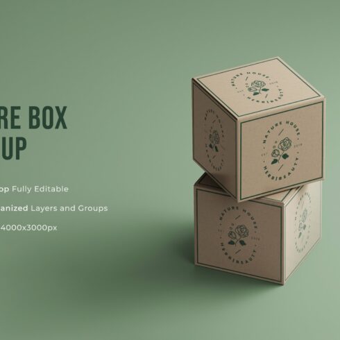 Square Box Mockup cover image.