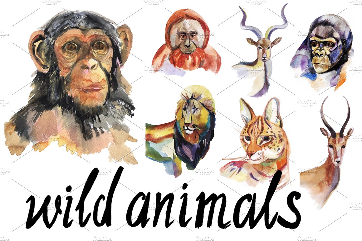 Watercolor wild animals set. cover image.