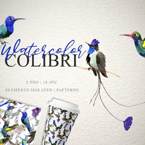 Colibri Watercolor png cover image.