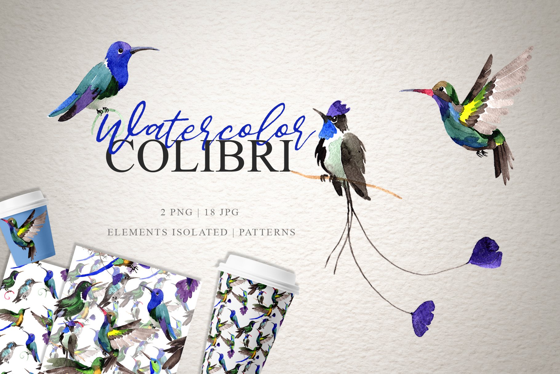 Colibri Watercolor png cover image.