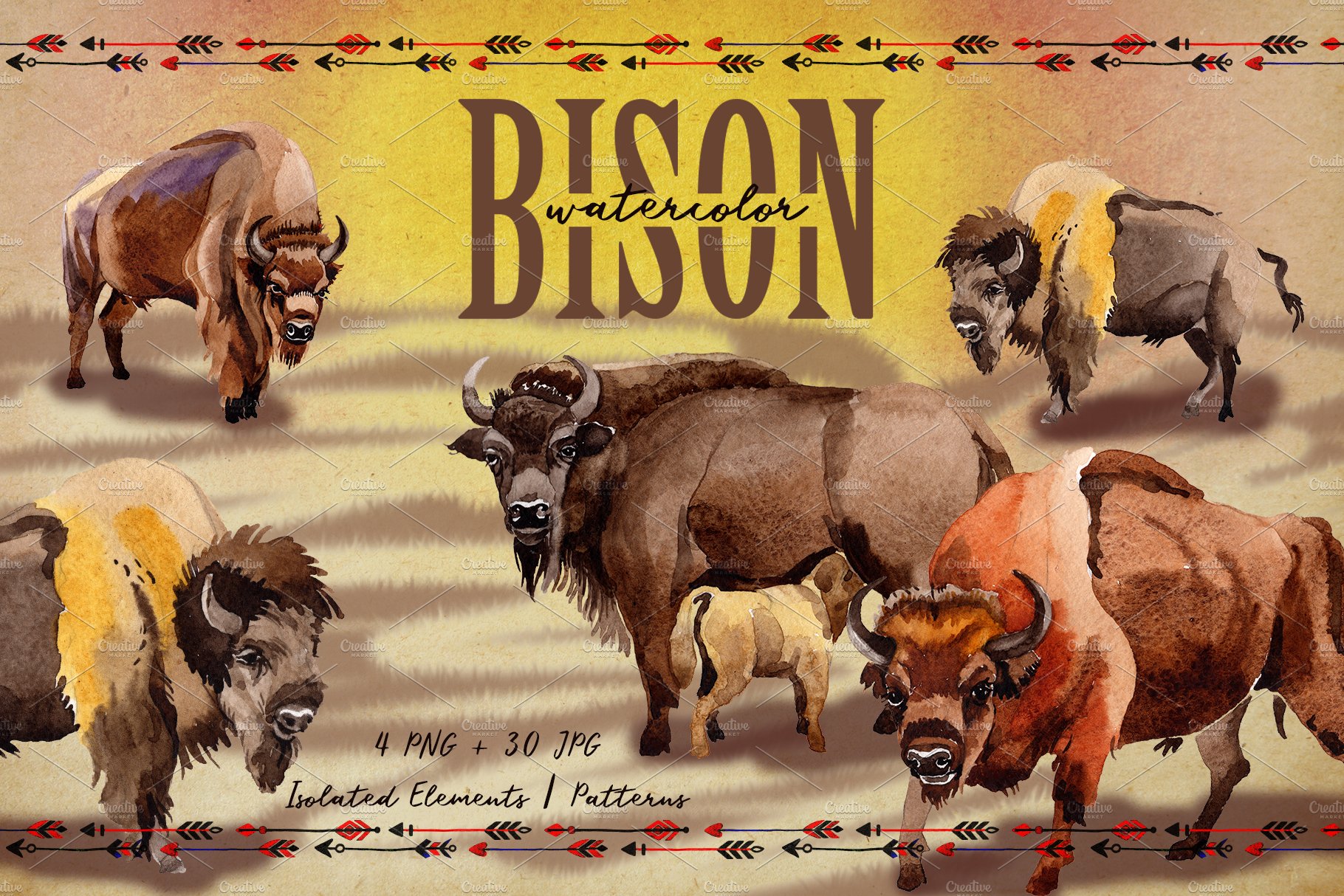 Exotic bison wild animal PNG set cover image.