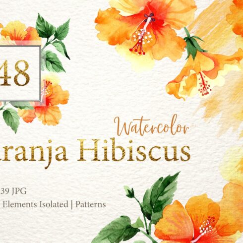 Naranja Hibiscus Watercolor png cover image.