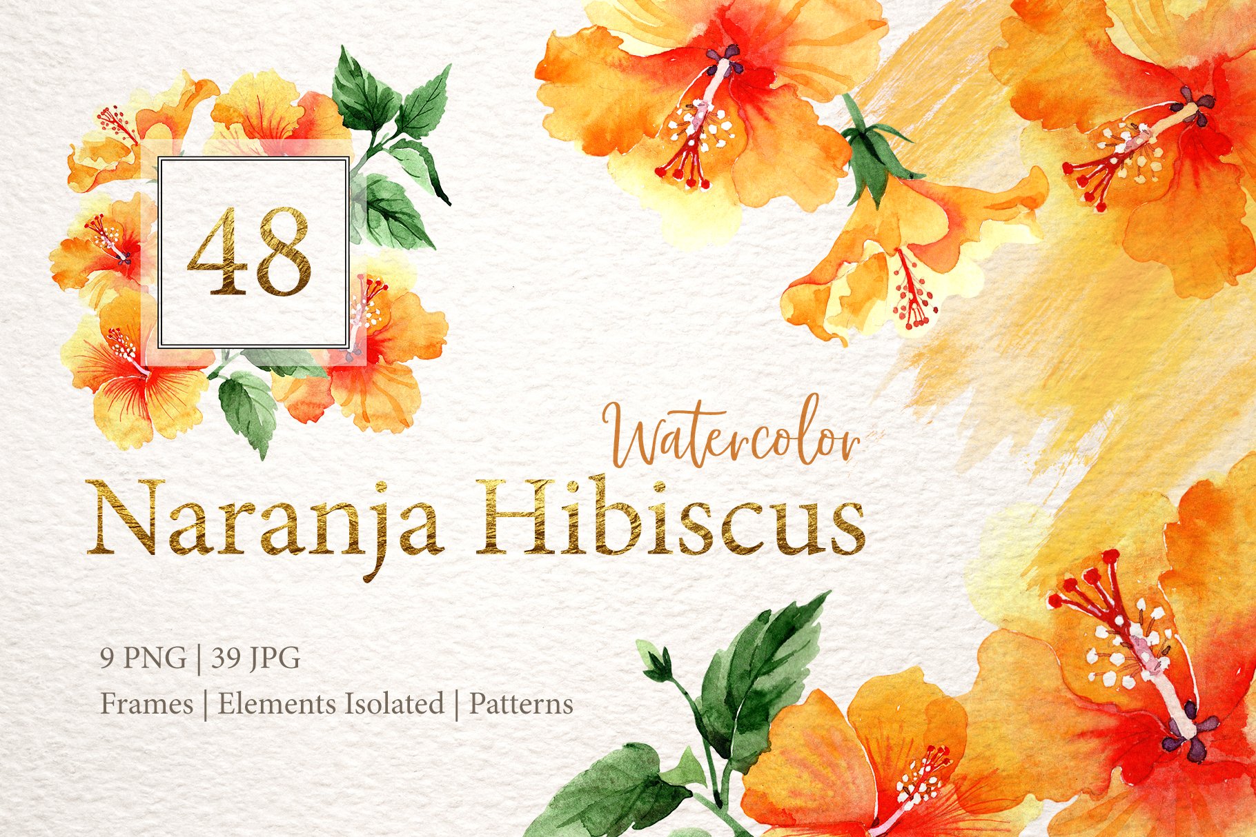 Naranja Hibiscus Watercolor png cover image.