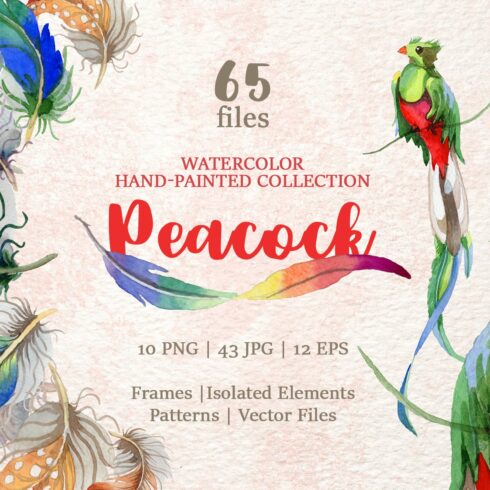 Peacock Watercolor png cover image.