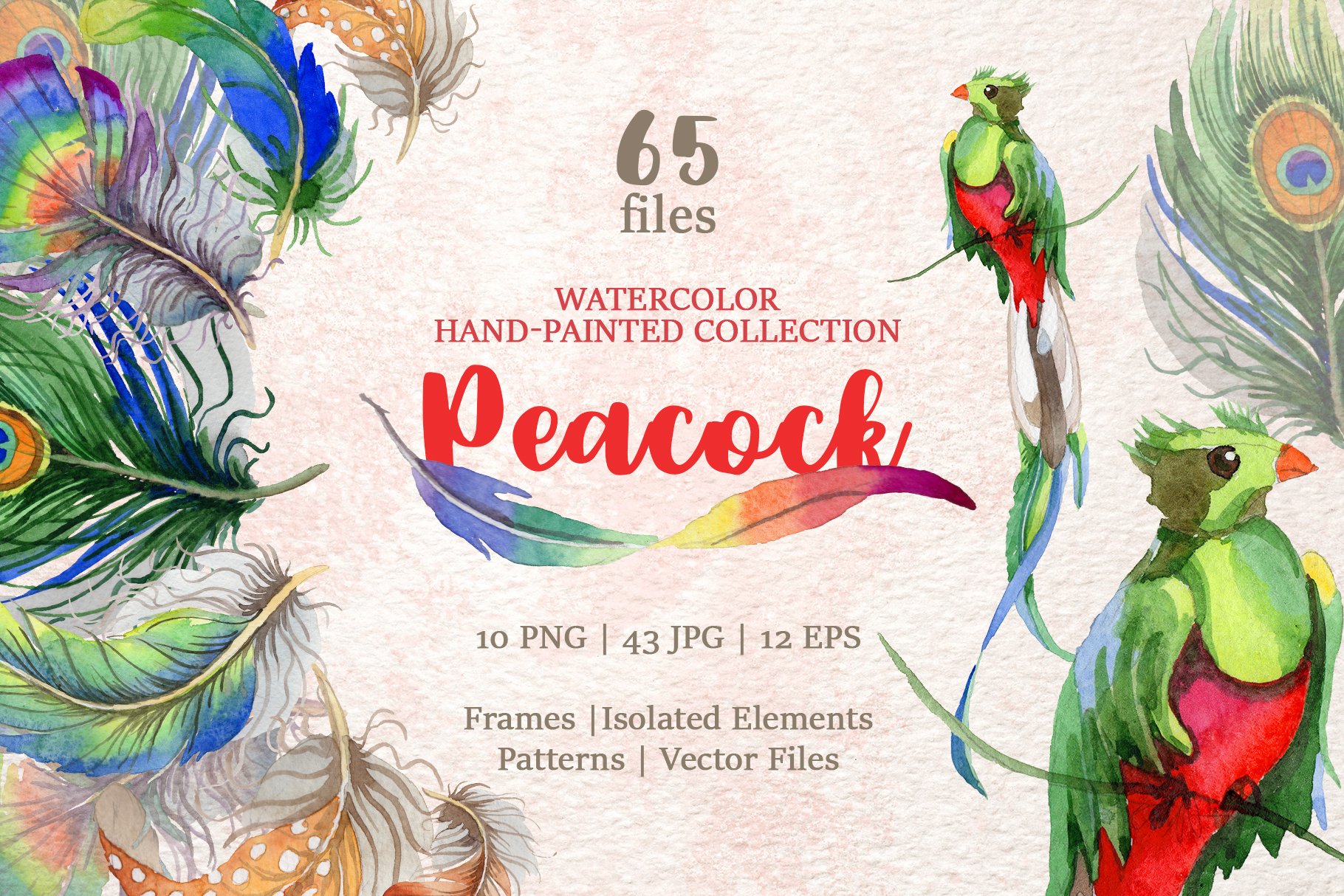 Peacock Watercolor png cover image.