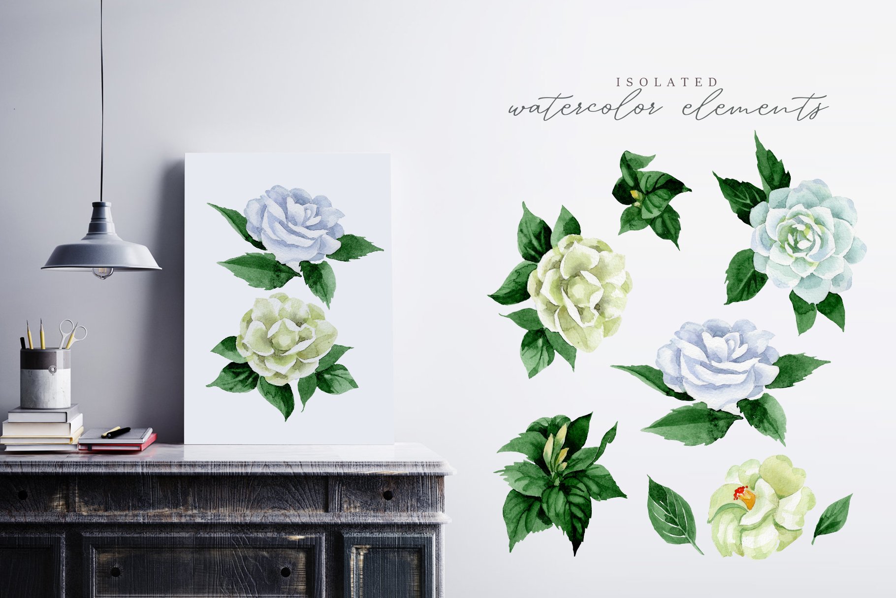 Camelia white Watercolor png preview image.