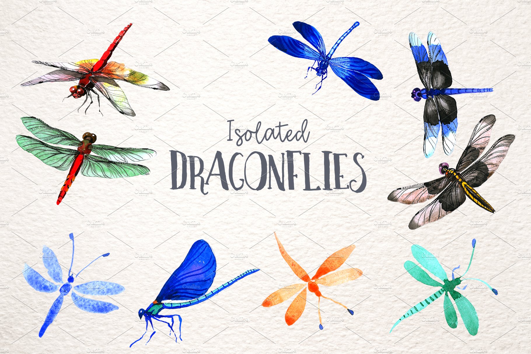 Insect dragonfly PNG watercolor set cover image.