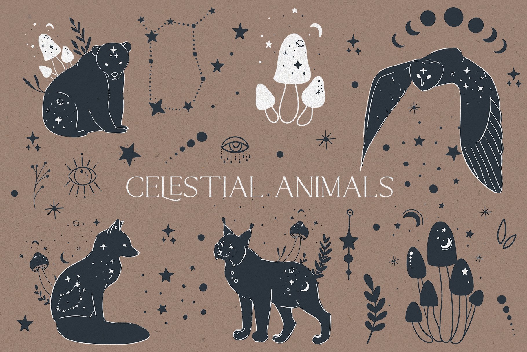 Celestial Animals Collection cover image.