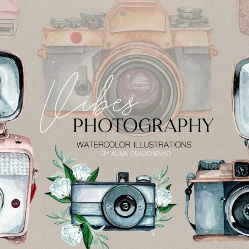 Photography Vibes / vintage cameras cover image.
