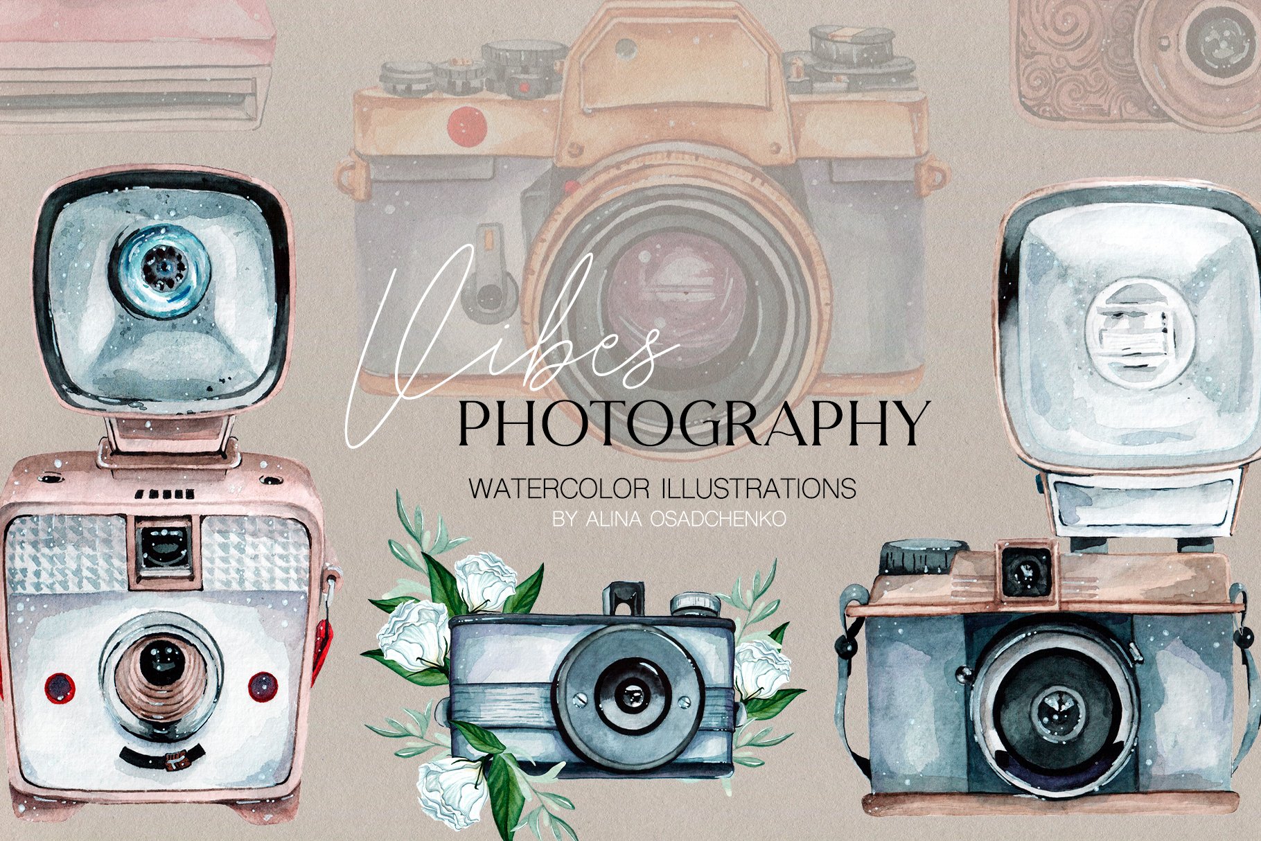 Photography Vibes / vintage cameras cover image.