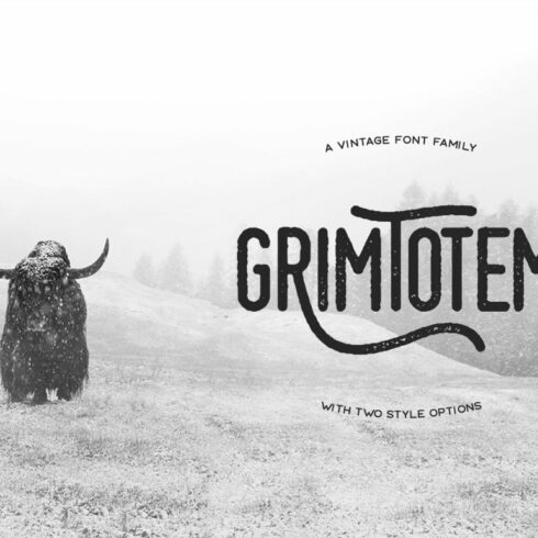 Grimtotem Typeface cover image.