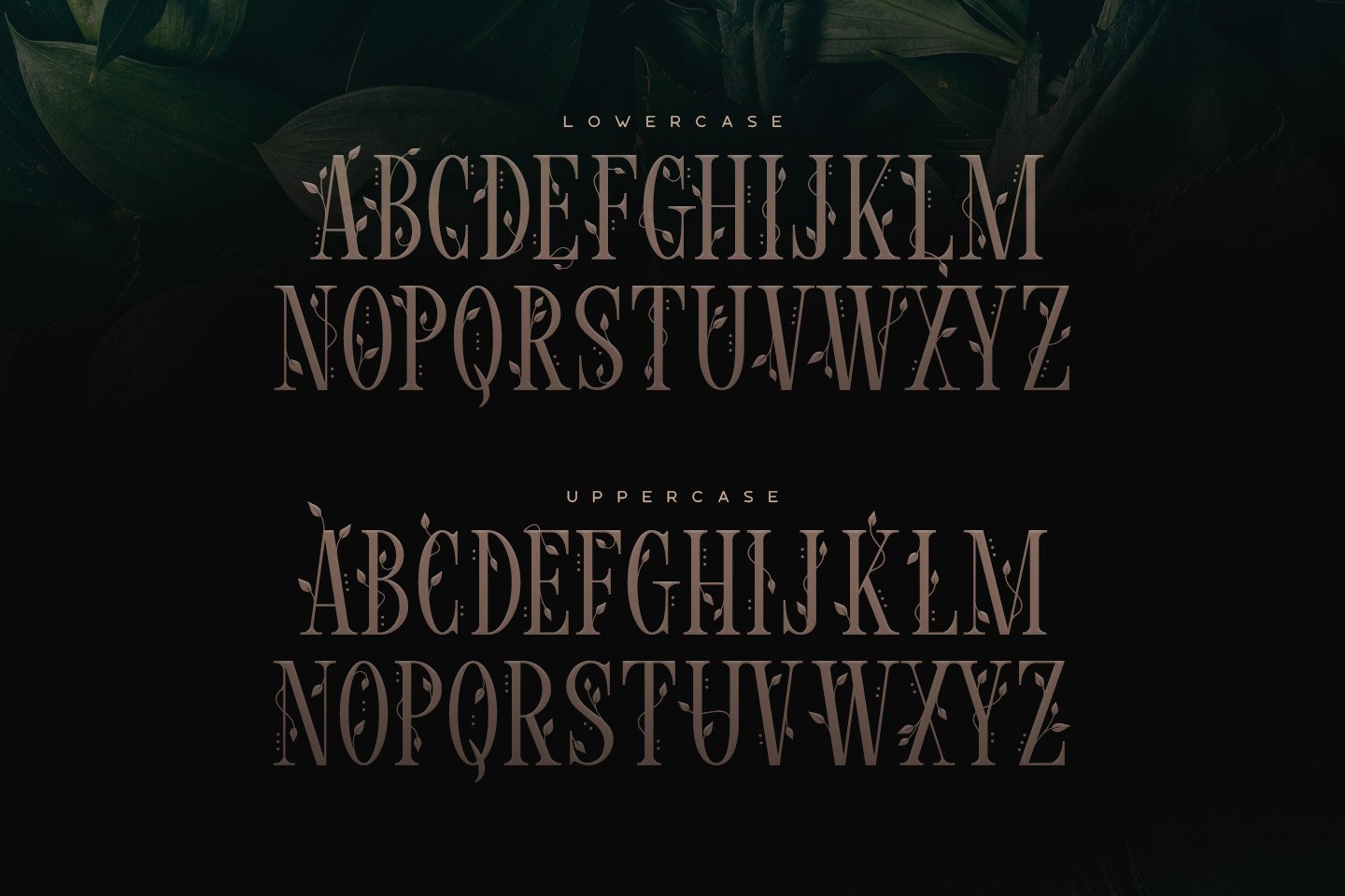 Wisteria • Display Font preview image.