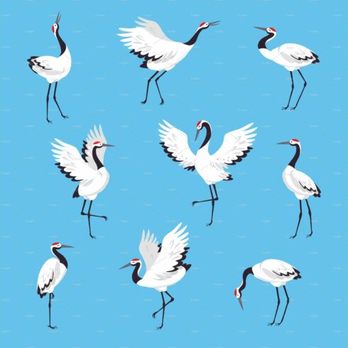 Red Crowned Crane as Long-legged cover image.