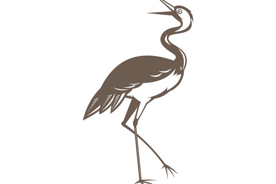 Crane  Looking Up cover image.