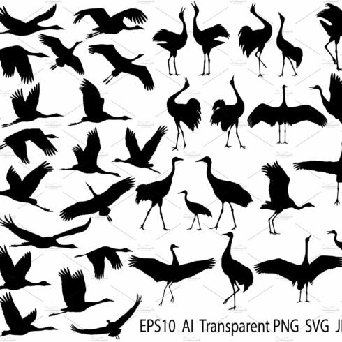 Cranes silhouette cover image.