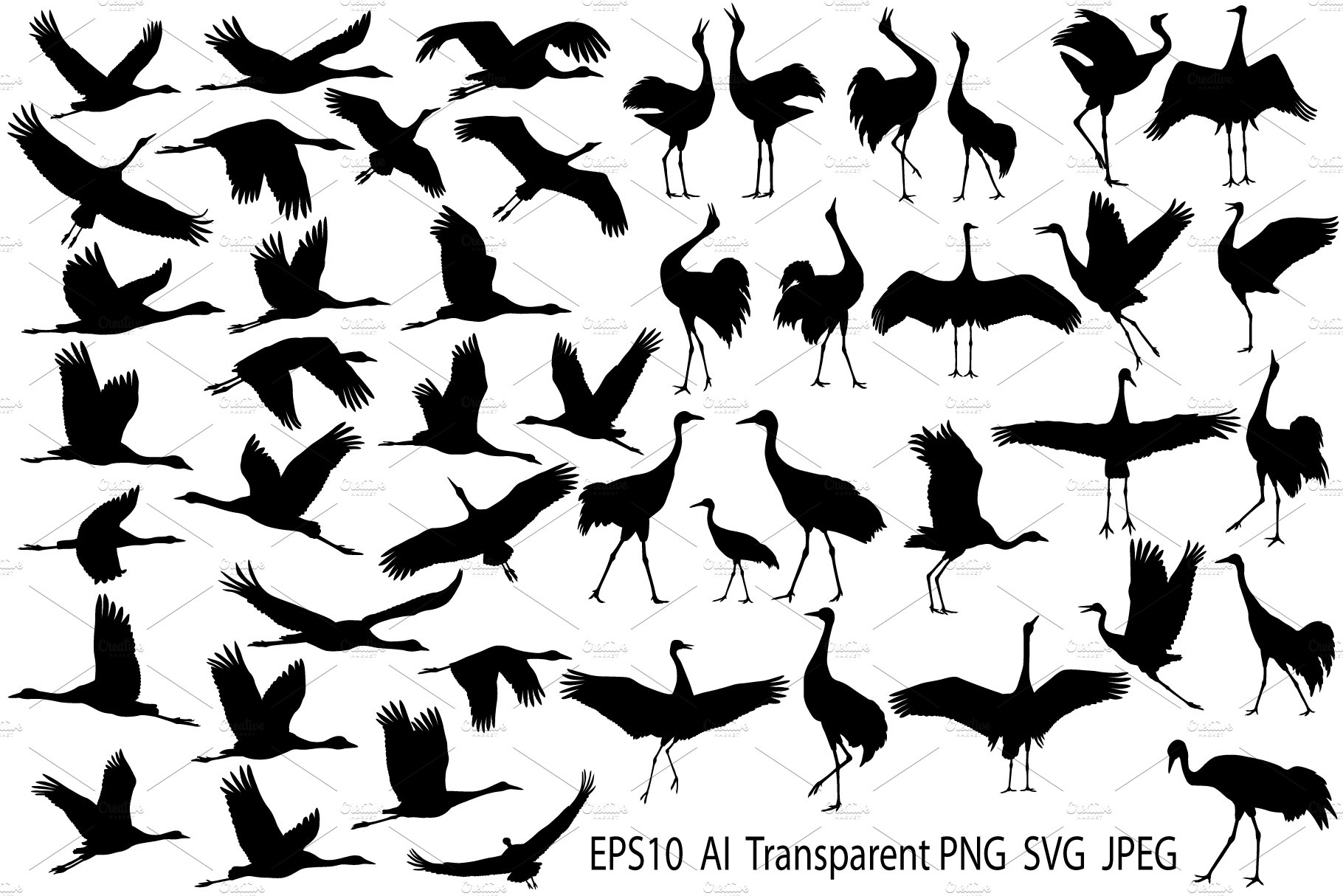 Cranes silhouette cover image.