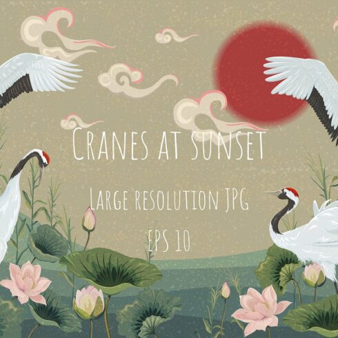 Cranes at sunset. Vector background cover image.