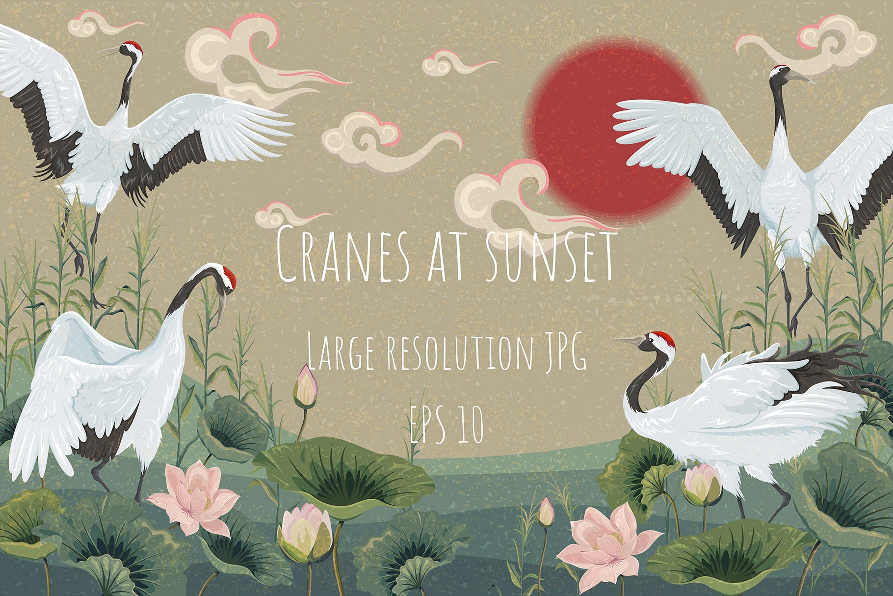 Cranes at sunset. Vector background cover image.