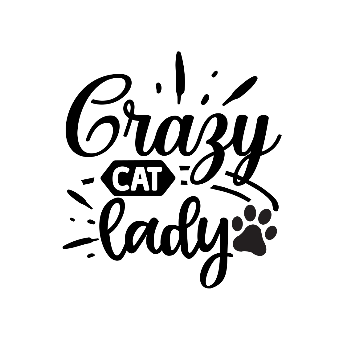 crazy cat lady3 457