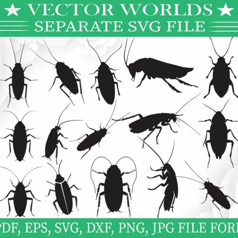 Cockroach Svg, Fly, Animals Svg cover image.
