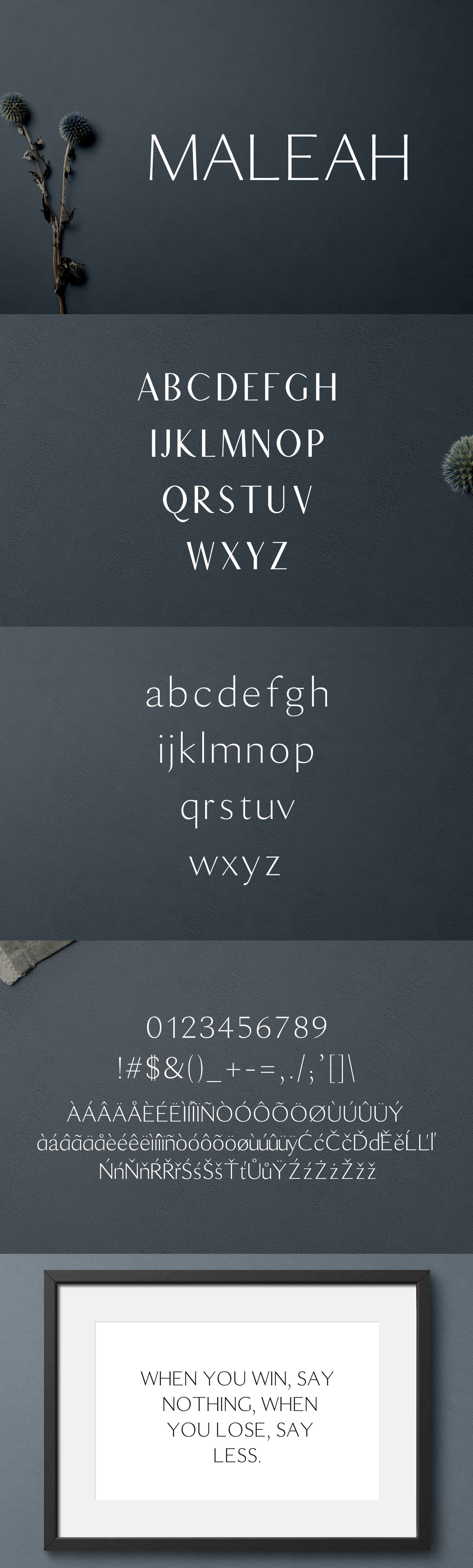 Maleah Sans Serif 4 Font Family Pack preview image.