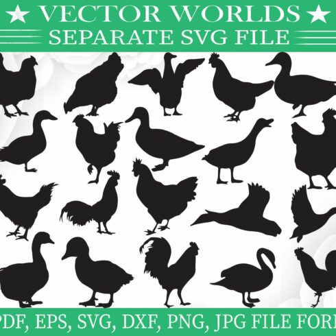 Roster Hen And Duck Svg, Duck Svg cover image.