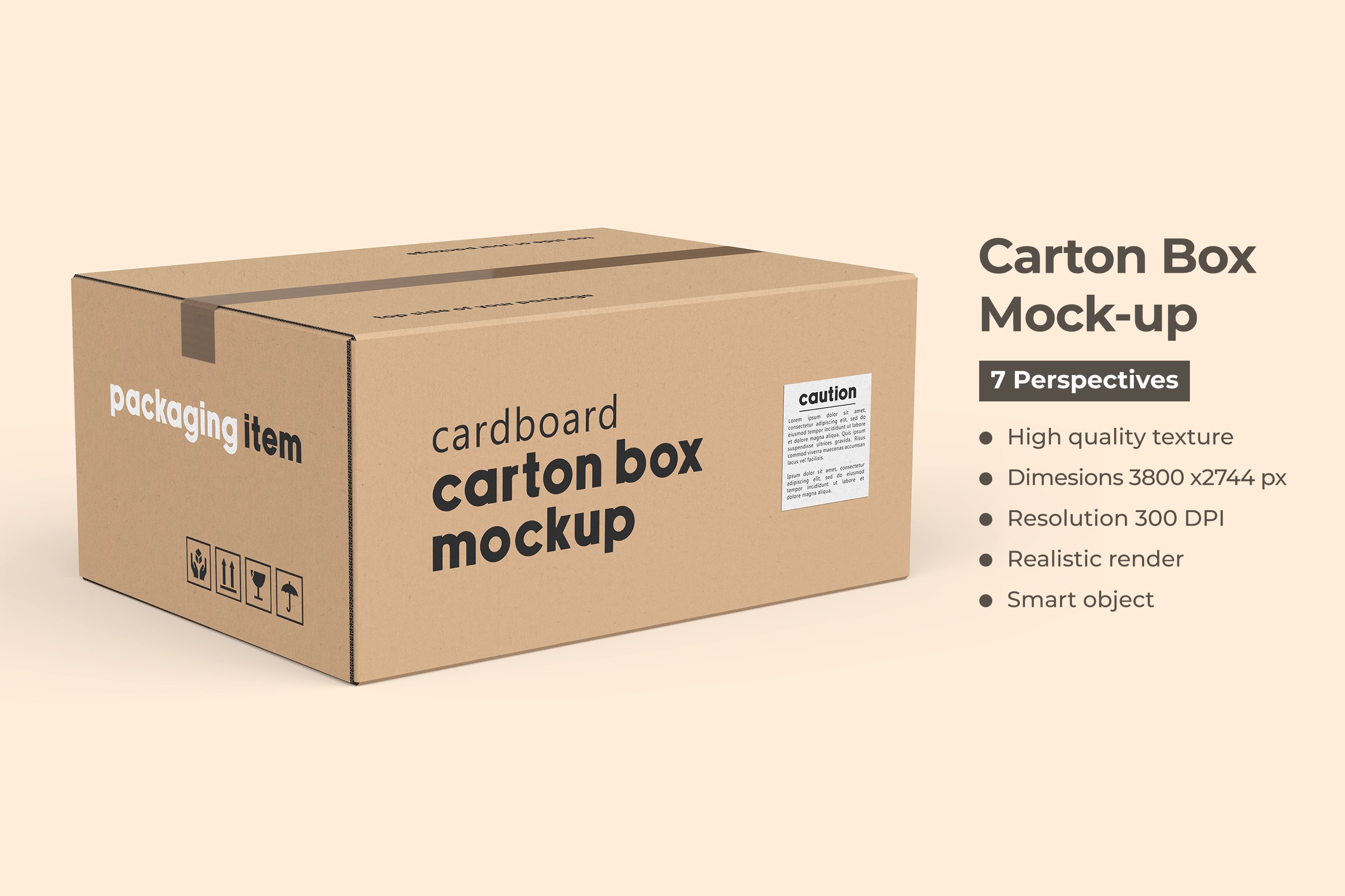 Rectangle Carton Box Mockup cover image.