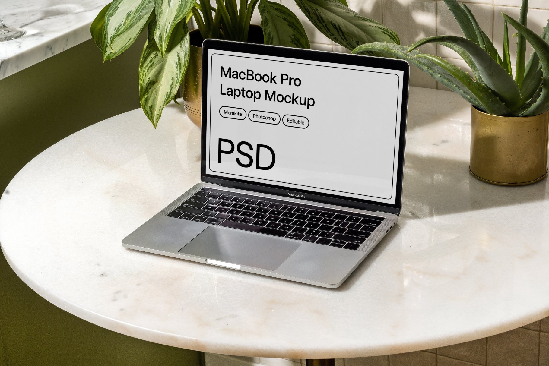 MacBook Laptop Mockup with Plants cover image.