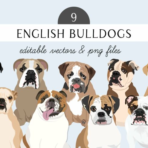 English Bulldog Vector Clip Art cover image.