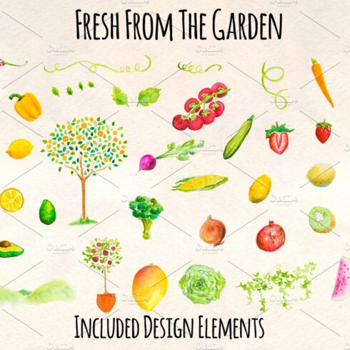 Fruit and Vegetable Watercolor Kit cover image.