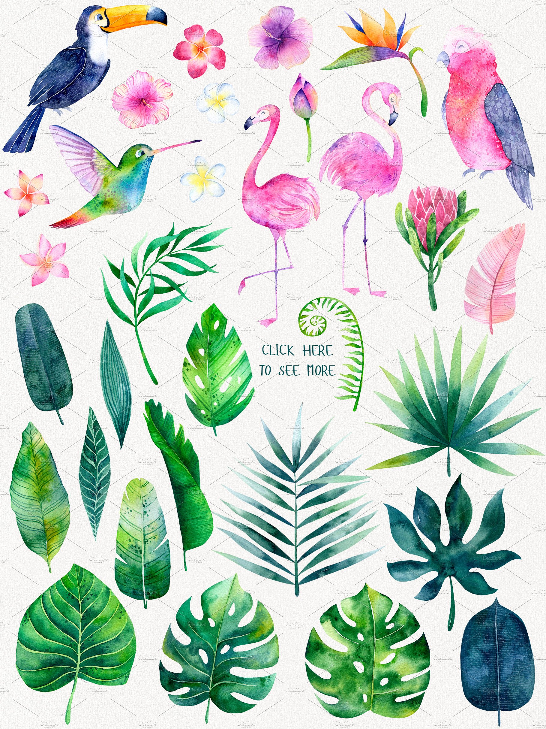 Watercolor Tropical Set preview image.